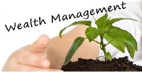 wealth management