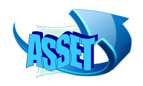 asset management